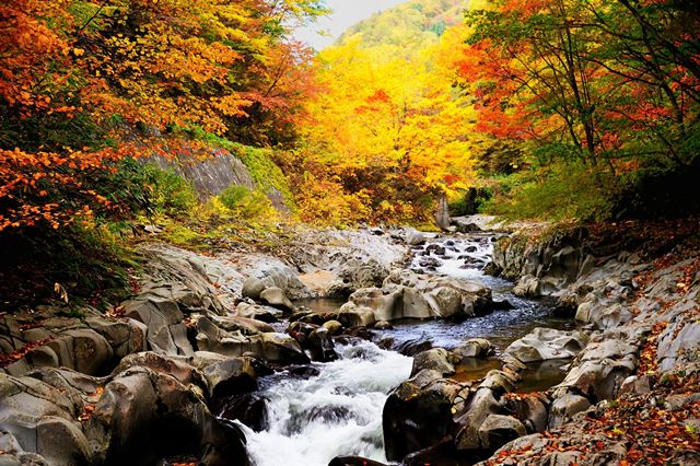 裏磐梯　中津川渓谷　紅葉